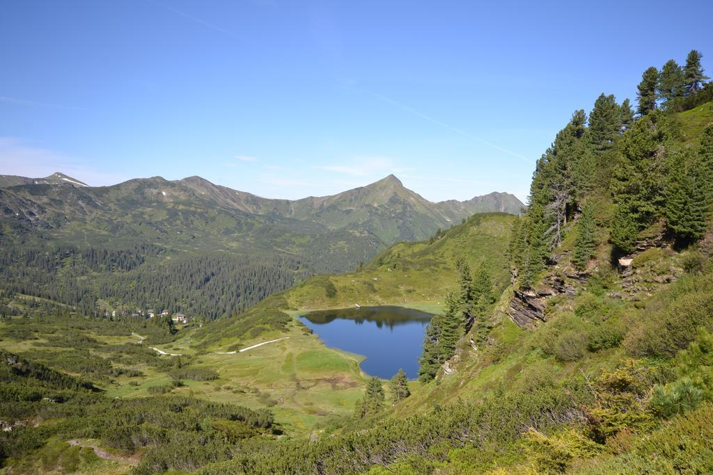 Alpengasthof Grimmingblick Planneralm Exteriér fotografie