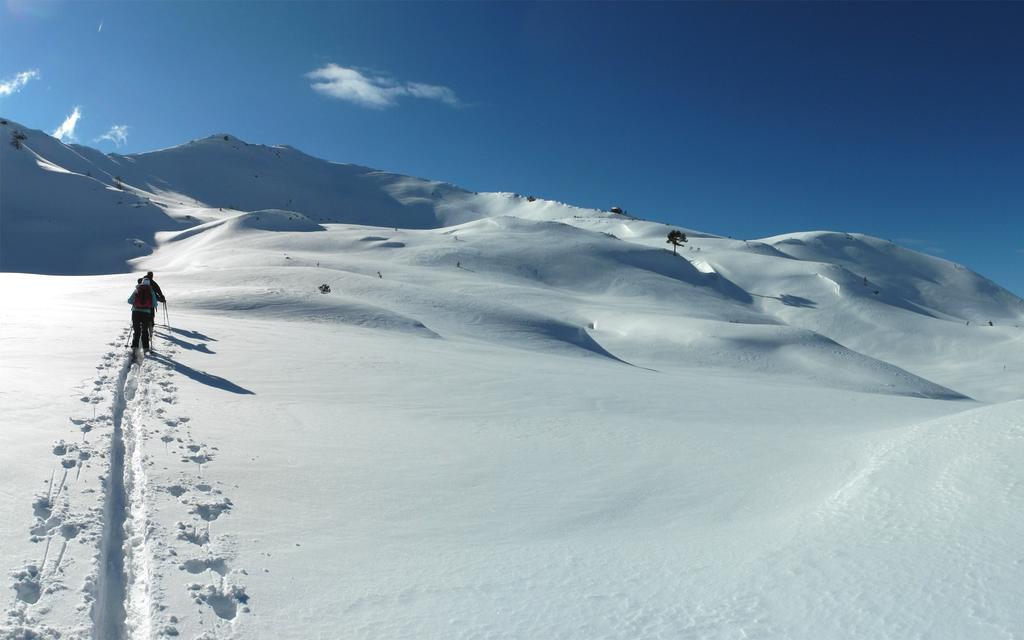 Alpengasthof Grimmingblick Planneralm Exteriér fotografie
