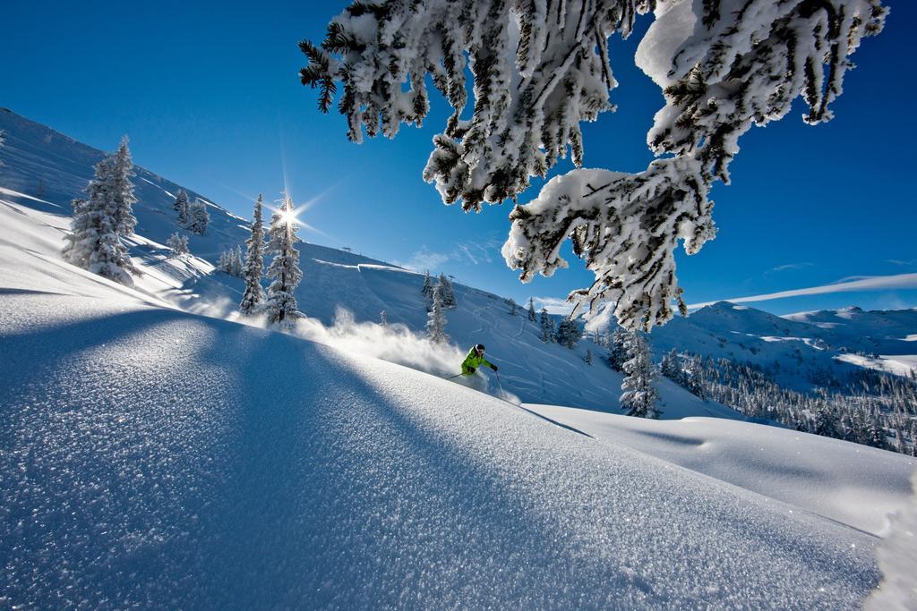 Alpengasthof Grimmingblick Planneralm Exteriér fotografie